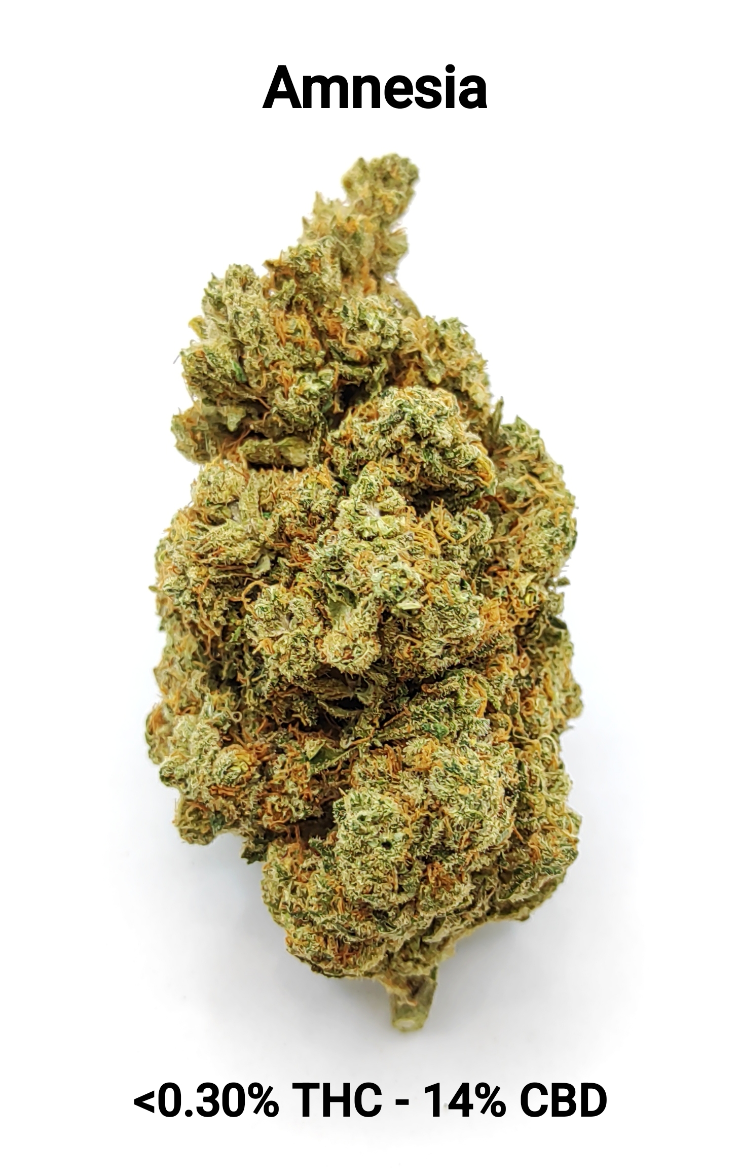CBD-District_Fleurs CBD_Amnesia_CBD