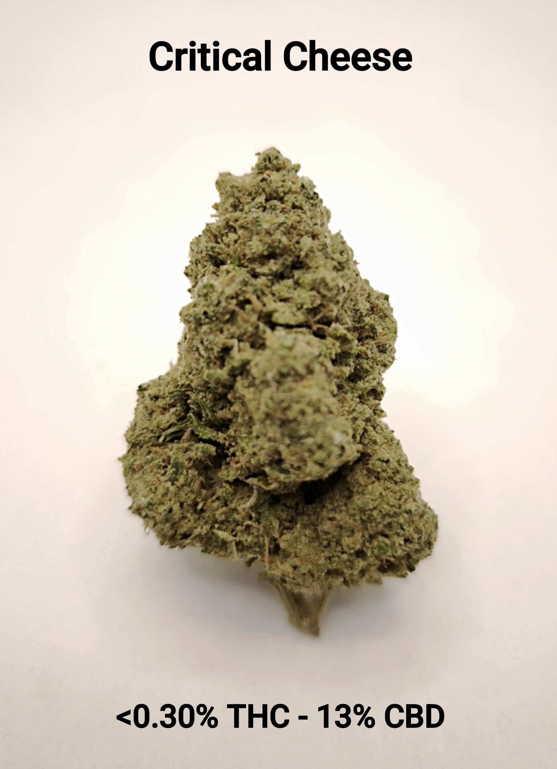 CBD-District_Fleurs CBD_Critical Cheese_CBD