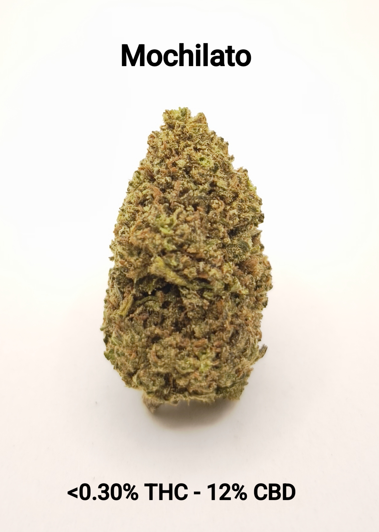 CBD-District_Fleurs CBD_Mochilato_CBD