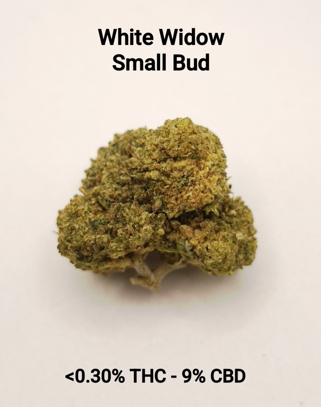 CBD-District_Fleurs CBD_White Widow-CBD