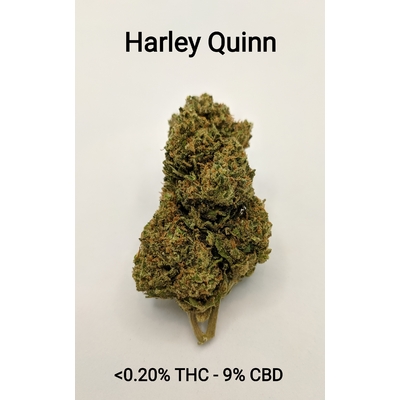 Harley Quinn <0,20% THC - 9% CBD