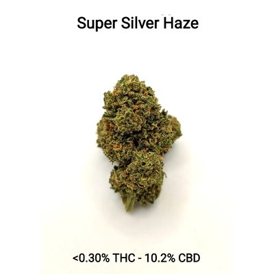 Super Silver Haze - <0.30% THC - 10.2% CBD