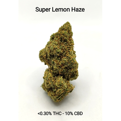 Super Lemon Haze   <0.30% THC - 10% CBD