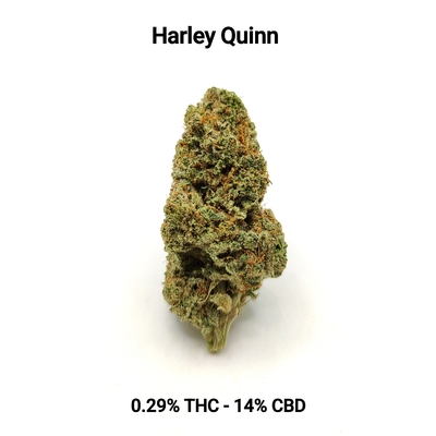 Harley Quinn 0,29% THC - 14% CBD