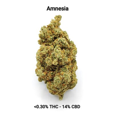 CBD-District_Fleurs CBD_Amnesia_CBD