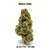 CBD-District_Fleurs CBD_Melon Cake_CBD
