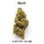 CBD-District_Fleurs CBD_Skunk_CBD