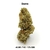 CBD-District_Fleurs CBD_Guava_CBD