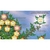Poster arbre généaologique des prophètes 1