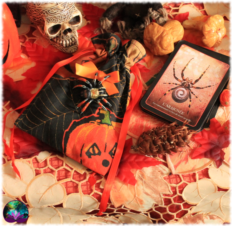 pochette cartes araignée citrouilles halloween 2