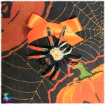 pochette cartes araignée citrouilles halloween 3