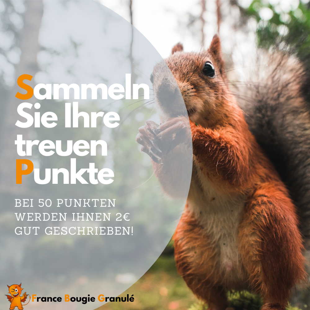 sammeln sie ihre treuepunkte