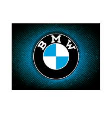 Magnet logo BMW 8 x 6