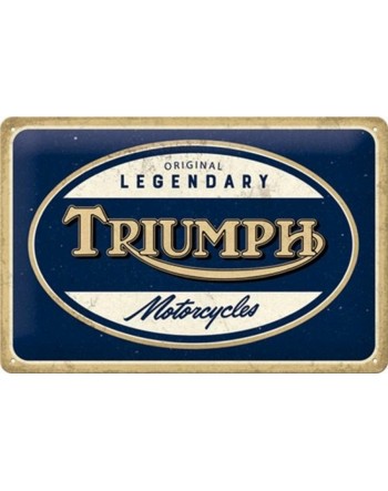 plaque-metal-20x30-relief-triumph-motorcycle