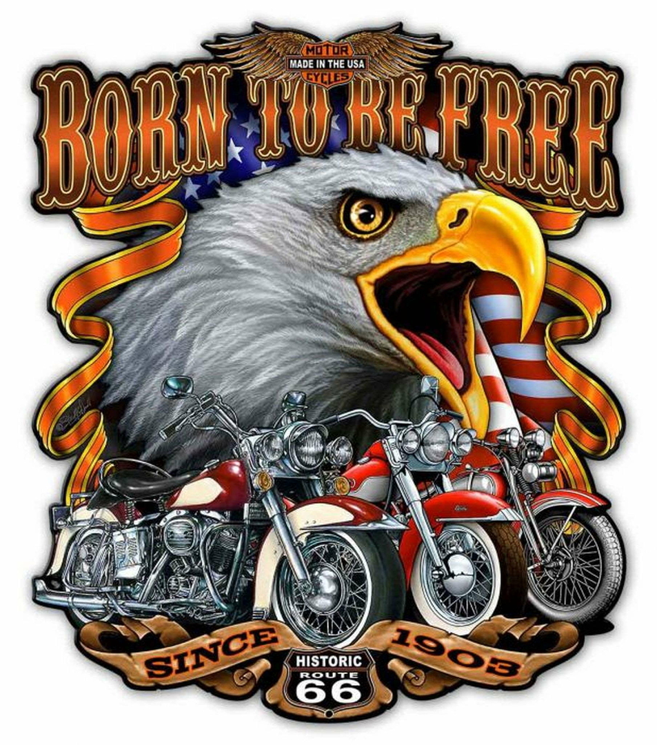 plaque-bikers-born-to-be-free-30x40