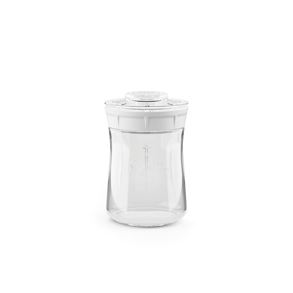 kit kéfir blanc 900ml