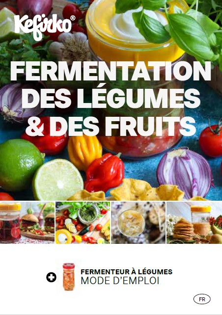 livret recettes lacto-fermentation