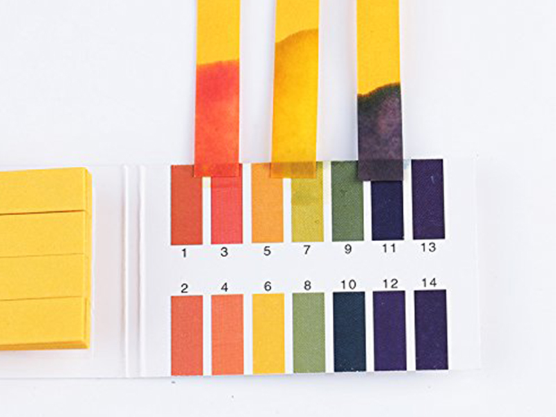 Papier indicateur de pH - 80 bandelettes avec nuancier
