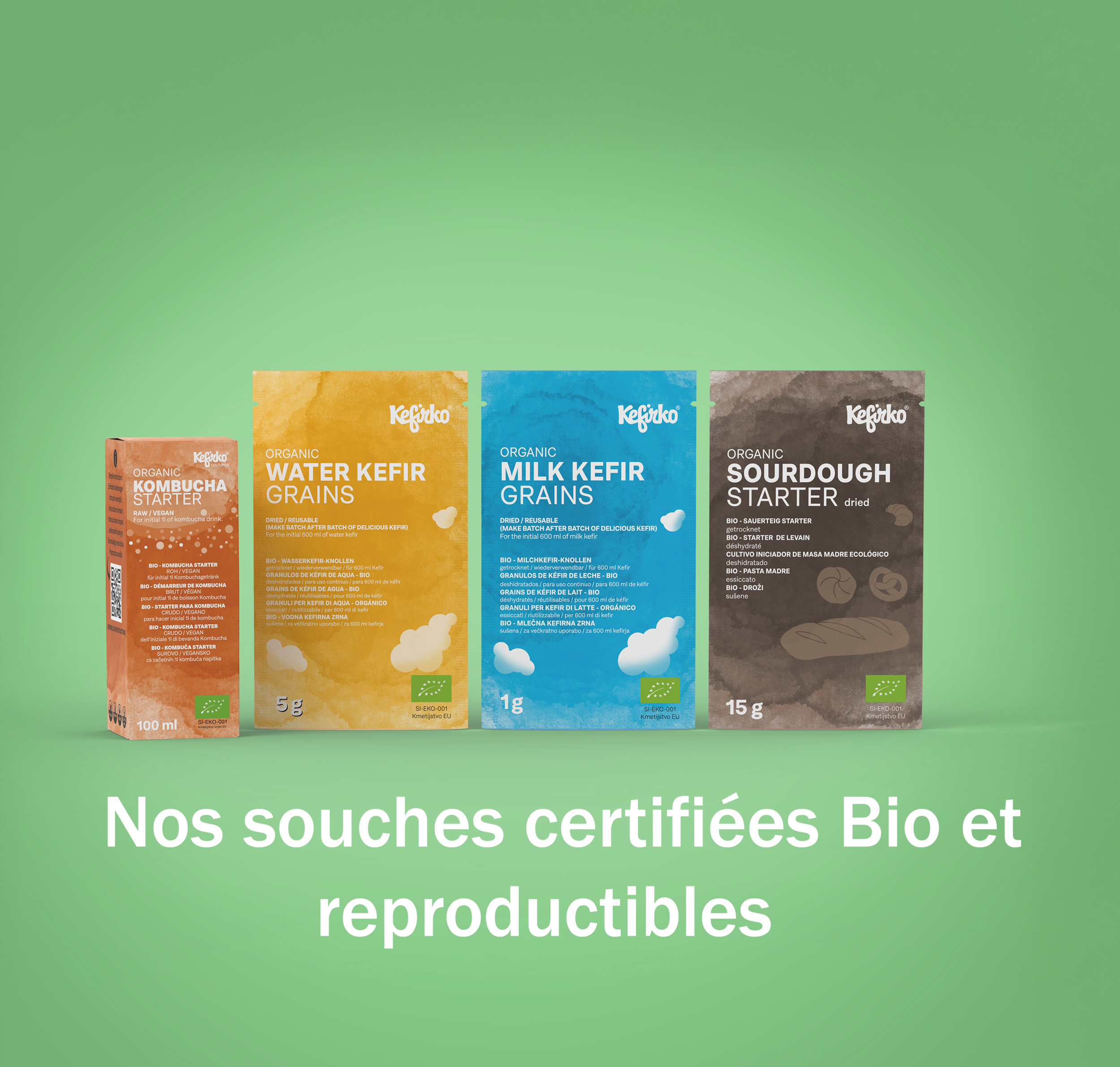 SOUCHE DE FERMENTS 
