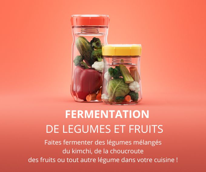 LACTO FERMENTATION 