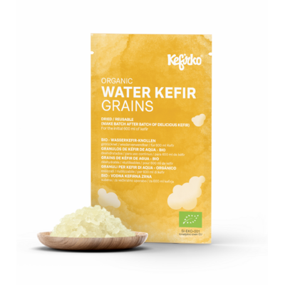 grains kéfir d'eau