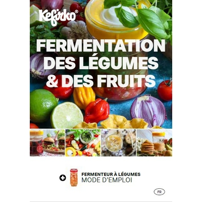 livret recettes lacto-fermentation