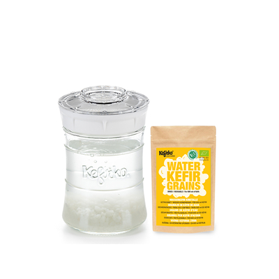 kefir-maker-kefirko-I-water-kefir-grains-I-dried-I-white-848