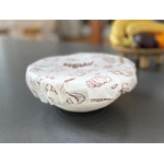 bowl-cover-4-1300x975