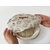 bowl-cover-3-1300x975