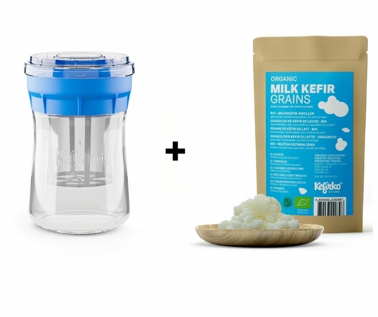 Kit de fabrication pour fromage 900ml Bleu + Grains de Kéfir de lait 1g BIO Le fromage fait