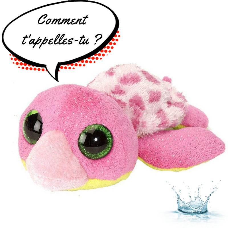 FICHE-WILD0003-TORTUEROSE-WILD-REPUBLIC-SWEETSASSY-TORTUEROSE (1)
