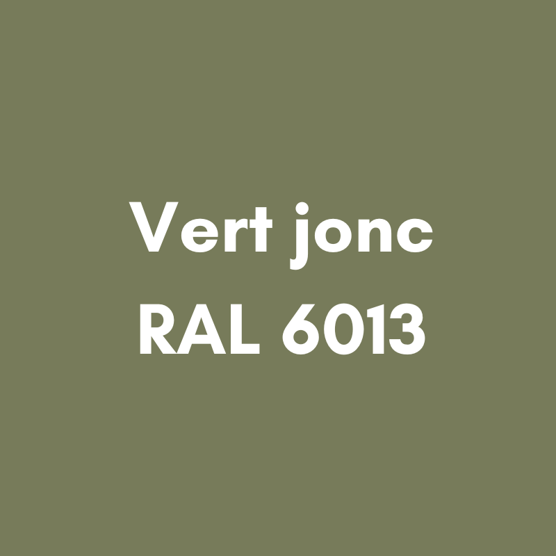 AGEN0182-COULEURS-VERT-JONC-RAL6013