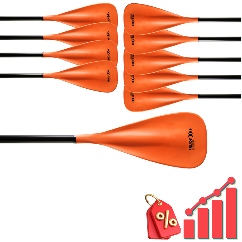 PSUP0020-LOT-LOT DE 10 PAGAIES DE SUP PRIJON RIM CHIEMSEE-1