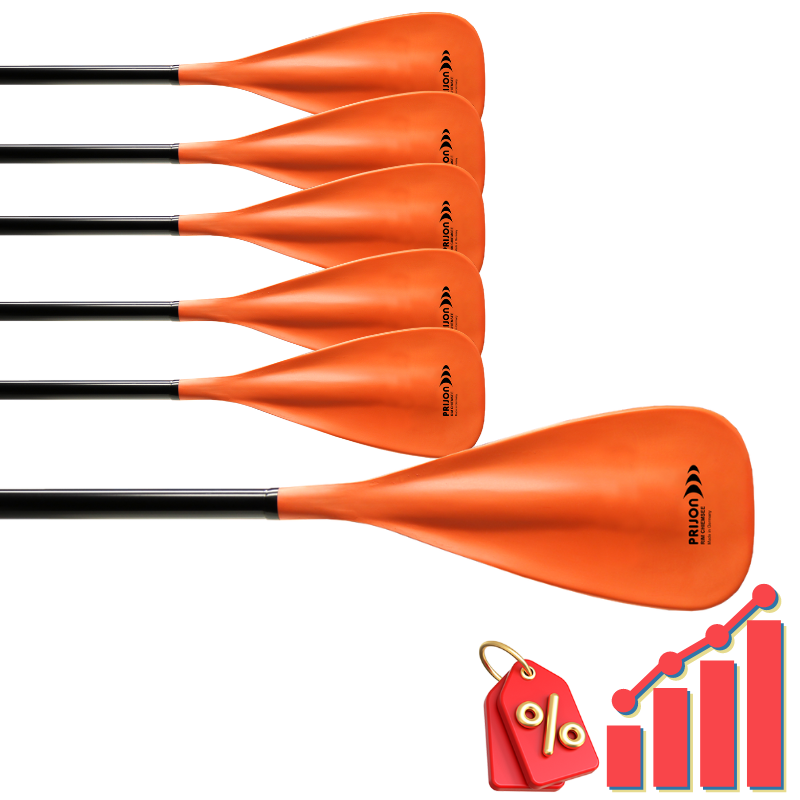 PSUP0020-LOT-LOT DE 6 PAGAIES DE SUP PRIJON RIM CHIEMSEE-1
