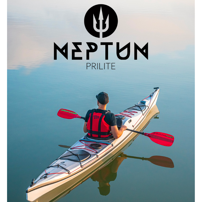 BKME0124-PRIJON-PRILITE-NEPTUN-GRIS-ARGENTE-ACTION