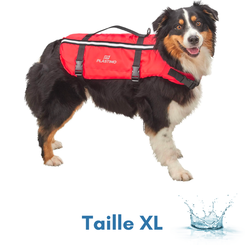 SDOG0001-PLASTIMO-GILET DAIDE A LA FLOTTABILITE POUR CHIEN-XL