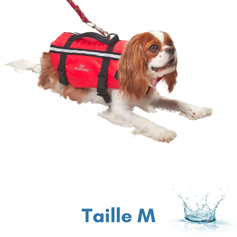 SDOG0001-PLASTIMO-GILET DAIDE A LA FLOTTABILITE POUR CHIEN-M