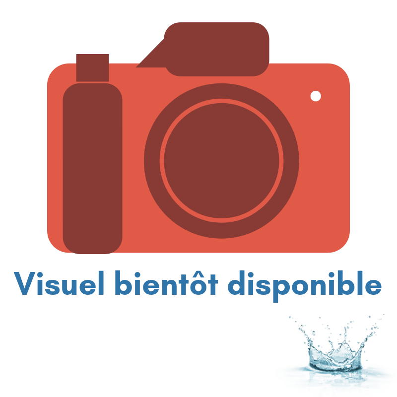 padlstore visuel bientot dispo 1