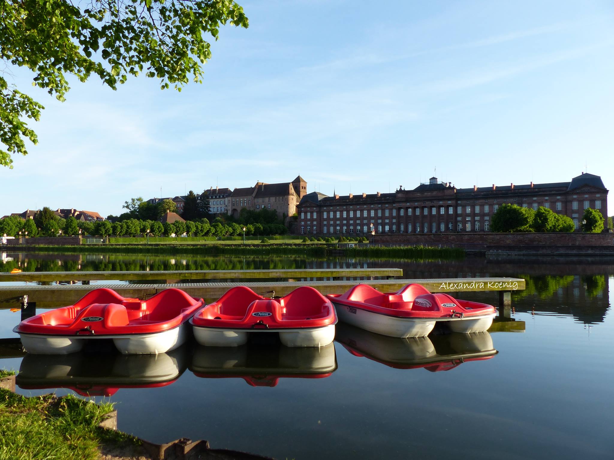 saverne pedalos pelican