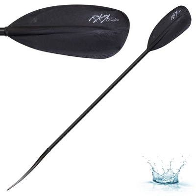 PHRI0015-TNP-RAPA CARBON 717C.0