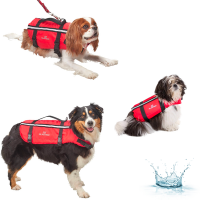 SDOG0001-PLASTIMO-GILET D'AIDE A LA FLOTTABILITE POUR CHIEN-