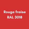 ROUGE FRAISE RAL 3018