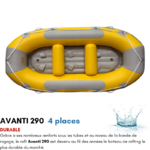 BRAF0017-4-290-JAUNE-GRIS-AQUADESIGN-RAFT-AVANTI-290-JAUNE-GRIS-4