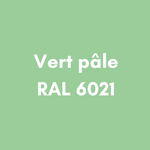 VERT PALE RAL 6021