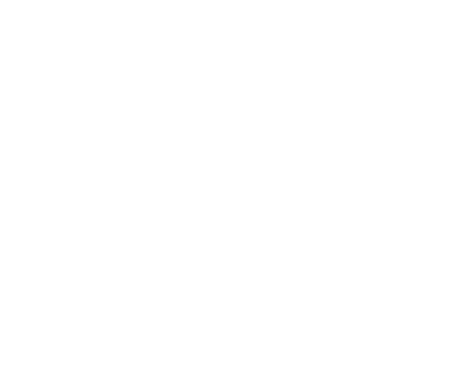 egrossiste