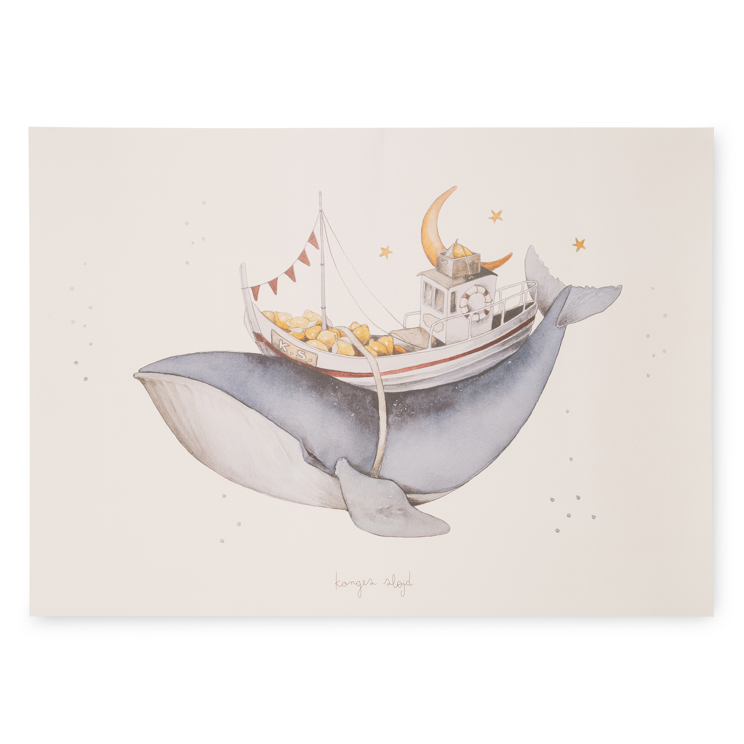 KS2244 - POSTER - WHALE - Extra 0