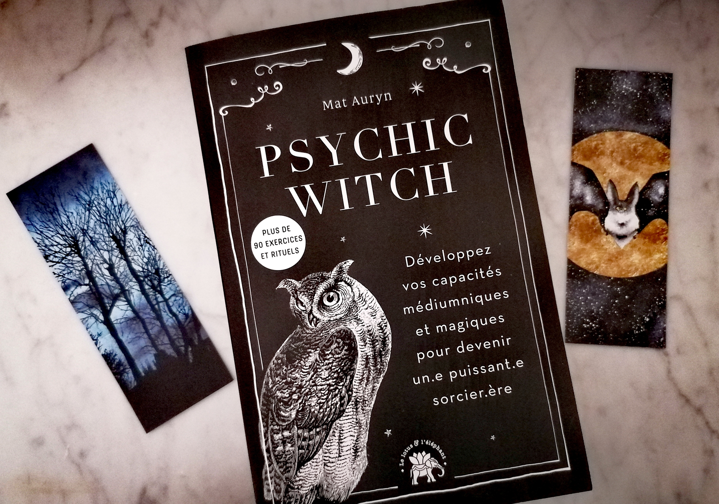 livre-psychic-witch