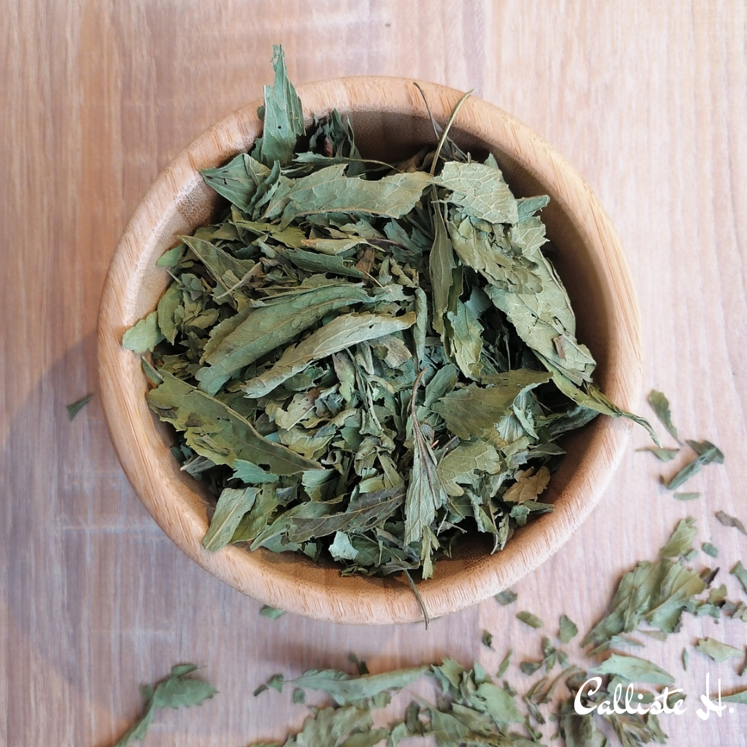 stevia-feuilles-infusion-herboristerie