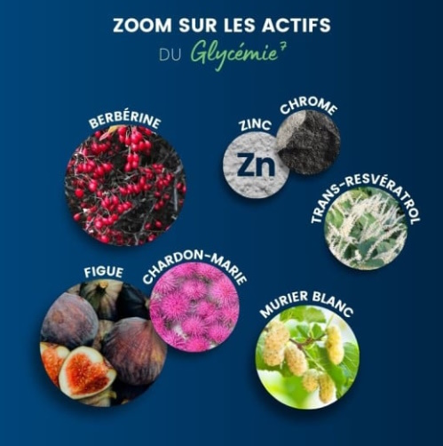 complexe-glycemie-7-dynveo-actifs