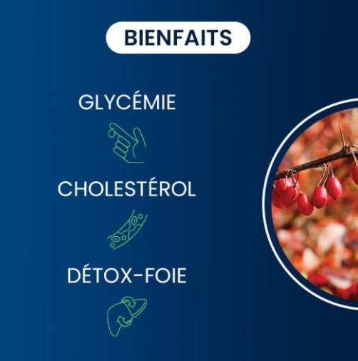 berberine-pure-complement-alimentaire-dynveo-bienfaits